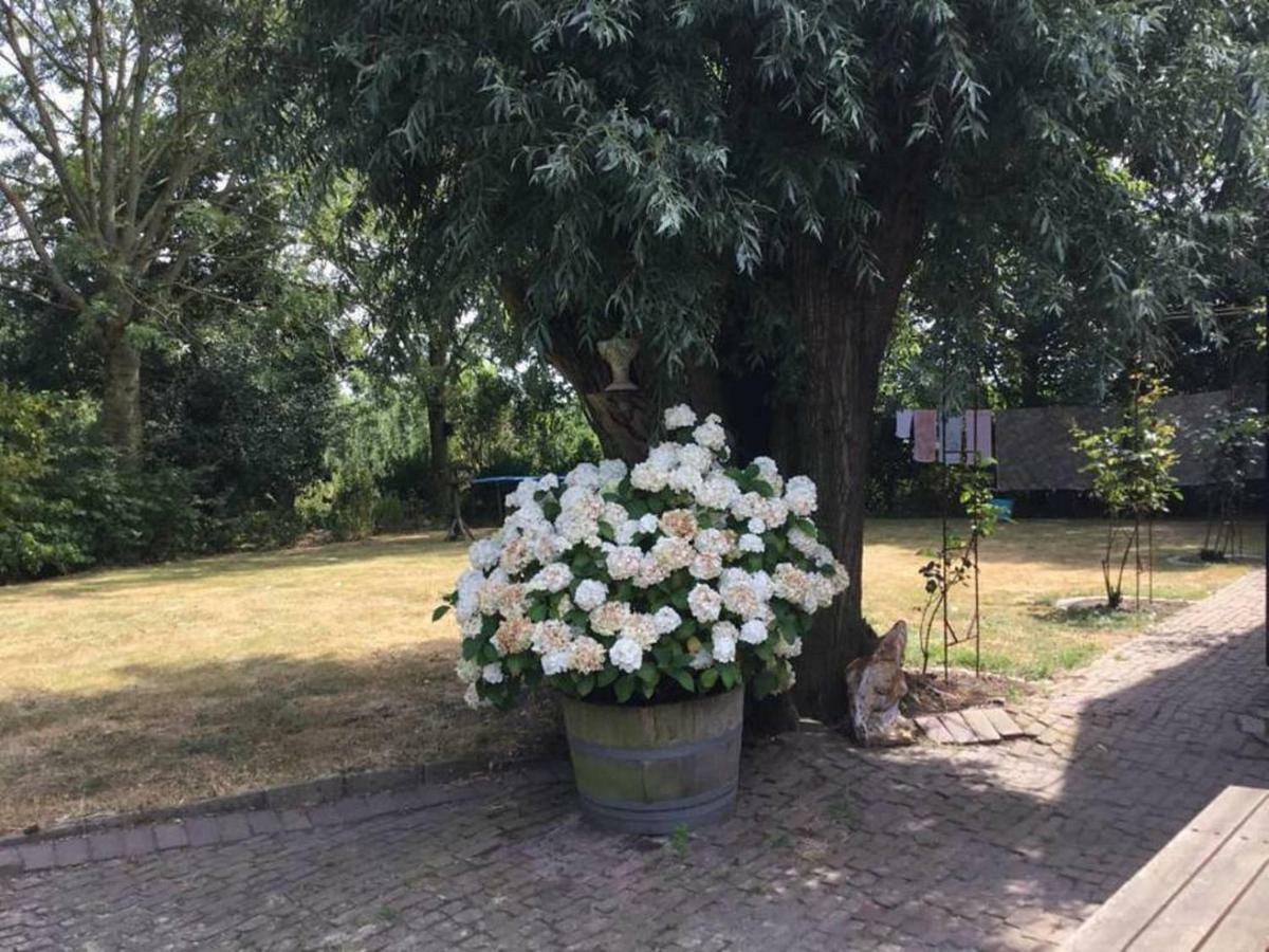 Willa Royale Bovenwoning Vlake Zewnętrze zdjęcie