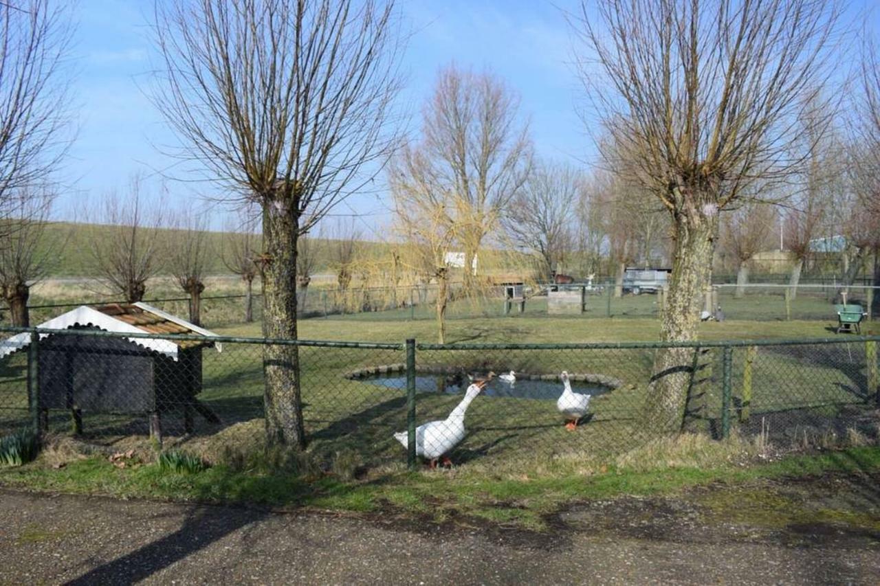 Willa Royale Bovenwoning Vlake Zewnętrze zdjęcie